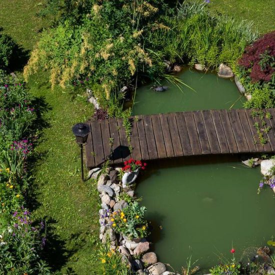 Hotel with garden and sunbathing lawn