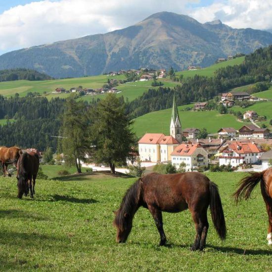 Naturhotel Edelweiss in Terenten - Pustertal / Südtirol