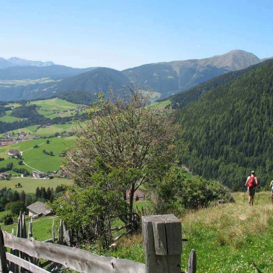 Naturhotel Edelweiss in Terenten - Pustertal / Südtirol