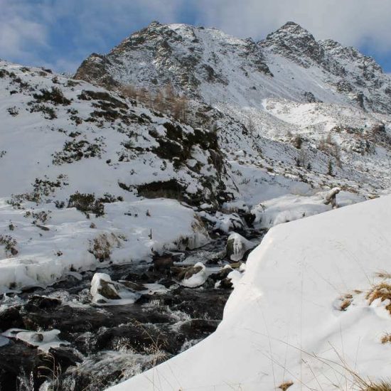 Snowshoe hikes at Plan de Corones