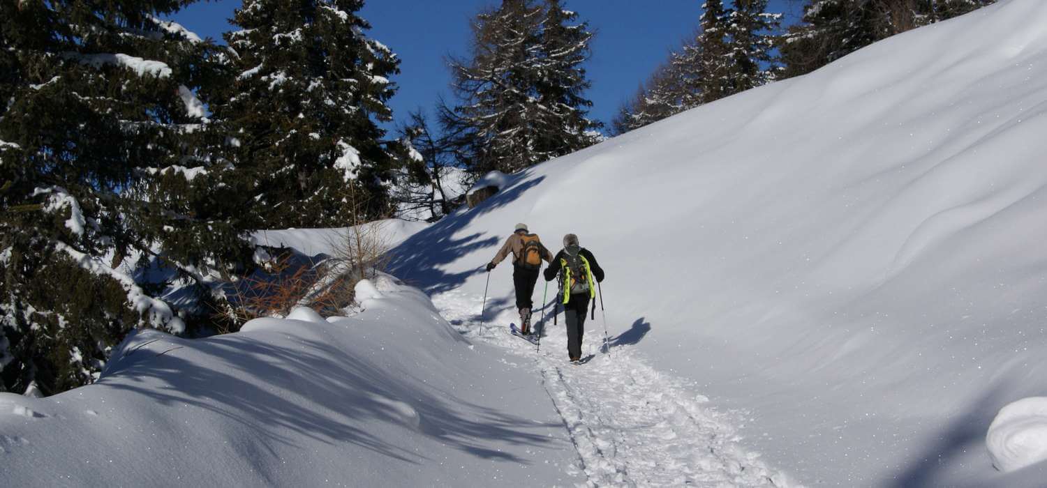 Enjoy the natural cross-country trail in Terento